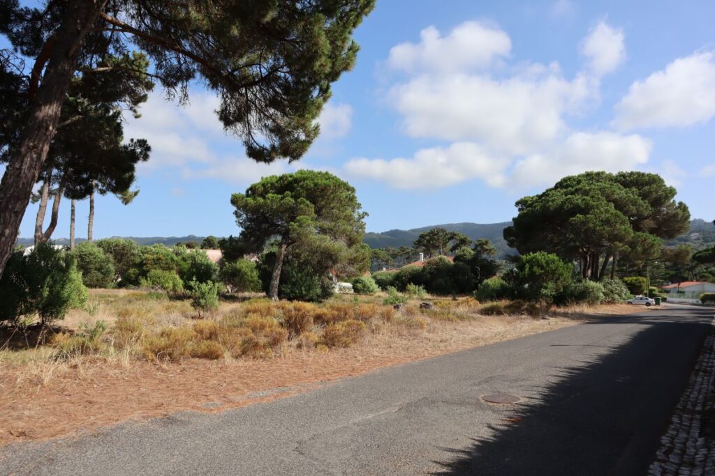Terreno para construção – Banzão – Colares – Sintra