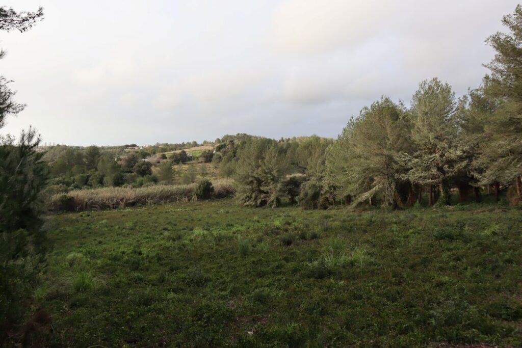 Terreno rústico com linha de água – Galamares – Sintra